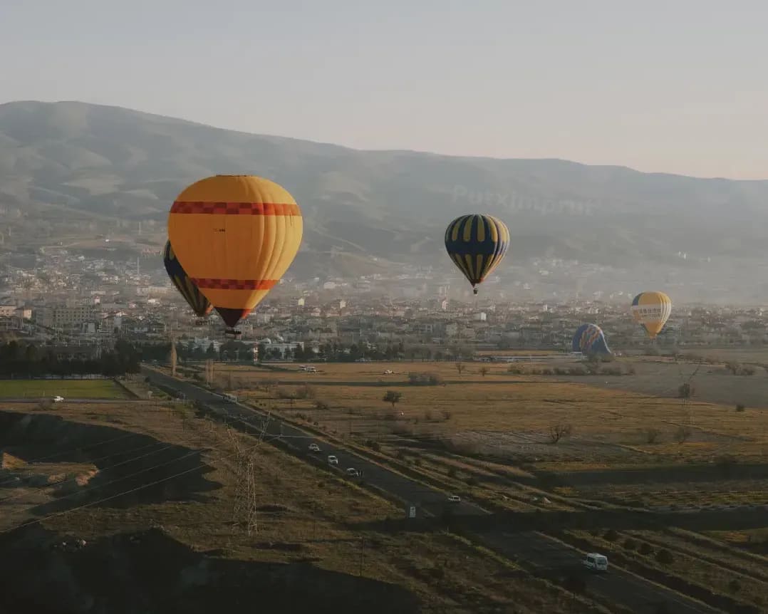 Putximprut 14